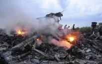 Nhìn lại 1 năm thảm kịch máy bay MH17 rơi