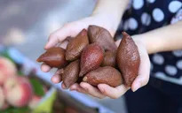 Bán mây Thái, hàng rong Hà Nội hét giá gấp đôi
