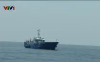 Thêm tàu rà kim loại đến khu vực máy bay Su-22 gặp nạn