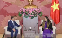 Thúc đẩy quan hệ đối tác chiến lược Việt Nam - Nga