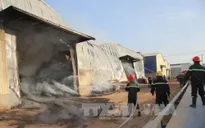 Bình Dương: Liên tiếp xảy ra 2 vụ cháy lớn
