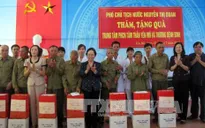 Phó Chủ tịch nước Nguyễn Thị Doan thăm, tặng quà cho người có công tỉnh Ninh Bình, Nam Định