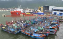 80 khách mắc kẹt trên huyện đảo Lý Sơn do ảnh hưởng bão Melor