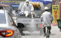 Chính phủ Hàn Quốc tập trung toàn lực chống MERS