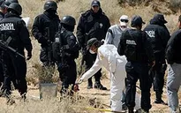 Mexico giải cứu 130 người di cư bị bắt cóc