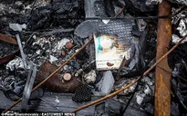 Kết thúc công tác tìm kiếm máy bay MH17