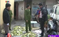 Nam Định: Bắt gần 7 tấn mì chính, hạt nêm giả