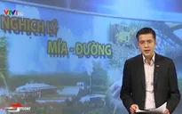 Nghịch lý ngành mía đường: Thừa đường, nông dân bỏ mía