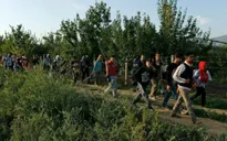 Croatia mở cửa biên giới cho người nhập cư lên phía Bắc