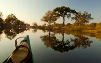 Đồng bằng Okavango - ốc đảo diệu kỳ của châu Phi