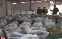 Hà Nội bắt hơn 100 tấn mỡ bẩn