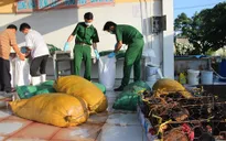 Phát hiện và tiêu hủy gần 800kg mỡ bẩn