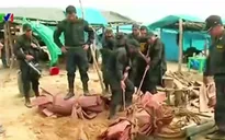 Cảnh sát Peru triệt phá 86 mỏ vàng khai thác trái phép