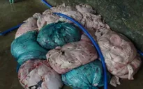 Đình chỉ lò nấu mỡ bẩn tại thành phố Đà Nẵng
