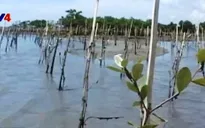 WB sẽ đồng hành cùng Việt Nam giảm nguy cơ biến đổi khí hậu