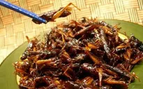 Châu chấu rang nước măng chua - Đặc sản dân dã vùng cao