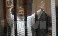 Tòa án Ai Cập kết án tử hình cựu Tổng thống Morsi