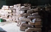 Bắt vụ vận chuyển 20 tấn mủ cao su nhập lậu