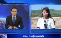 Bình Thuận đón nhận "cơn mưa vàng"