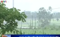 Mưa lớn xuất hiện ở vùng hạn Phú Yên