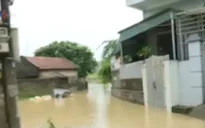 Mưa lũ vẫn diễn biến phức tạp tại Quảng Ninh