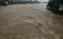 Mưa lớn gây nhiều thiệt hại về người và tài sản tại Nam Trung Bộ