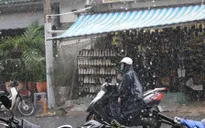 Đắk Lắk đã có mưa đầu mùa