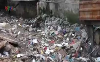 TP.HCM: Dân khốn khổ vì muỗi và mùi hôi thối từ kênh thoát nước