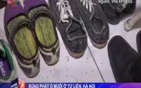 Hà Nội: Cư dân Tứ Liên khốn khổ vì muỗi