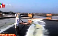 Muối biển mặt trời - Đặc sản mới của đất nước Hàn Quốc
