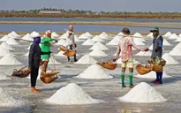 Ưu tiên tạm trữ muối tại địa phương tồn đọng