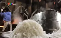 Nhiều cơ sở vi phạm vệ sinh an toàn thực phẩm dịp Tết