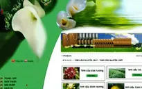 Đình chỉ lưu hành và thu hồi 24 sản phẩm mỹ phẩm