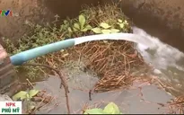 1.500 người dân Gio Linh, Quảng Trị phải dùng nước bẩn