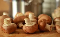 8 lý do tuyệt vời bạn nên ăn nấm