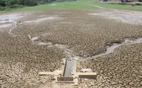 Quảng Trị: Nắng hạn kéo dài, 7.000 ha cây trồng bị ảnh hưởng