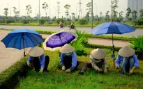 Lao động nghèo oằn mình mưu sinh giữa trời nắng nóng