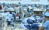 Năng suất lao động năm 2015 tiếp tục được cải thiện