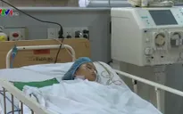 Bệnh viện Bạch Mai cấp cứu nạn nhân bị ong đốt hơn 100 mũi