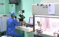 Việt Nam thành công trong nghiên cứu loại bỏ gen dị tật