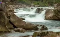 Chiêm ngưỡng những hình ảnh thú vị về nước và sự sống