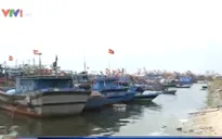 Nghị định 67: Cần tiếng nói chung giữa ngân hàng và ngư dân