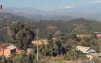 Nạn buôn bán thận hoành hành tại Nepal