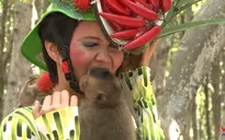 Thí sinh Vietnam's Next Top Model 2015 sợ hãi vượt thử thách chụp hình với khỉ