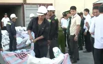 Bắt vụ vận chuyển ngà voi “khủng” được ngụy trang tinh vi