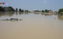 Mưa lớn gây ngập úng vùng tâm hạn tỉnh Ninh Thuận