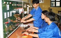 Gia Lai tăng cường đào tạo nghề công tác xã hội