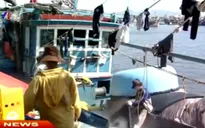 Tái diễn tín dụng “đen” ở vùng biển