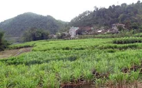 WB thông qua khoản tín dụng 100 triệu USD giúp Việt Nam giảm nghèo