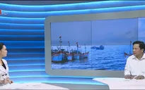 'Nghị định 67 ra đời đáp ứng được nguyện vọng của bà con ngư dân'
